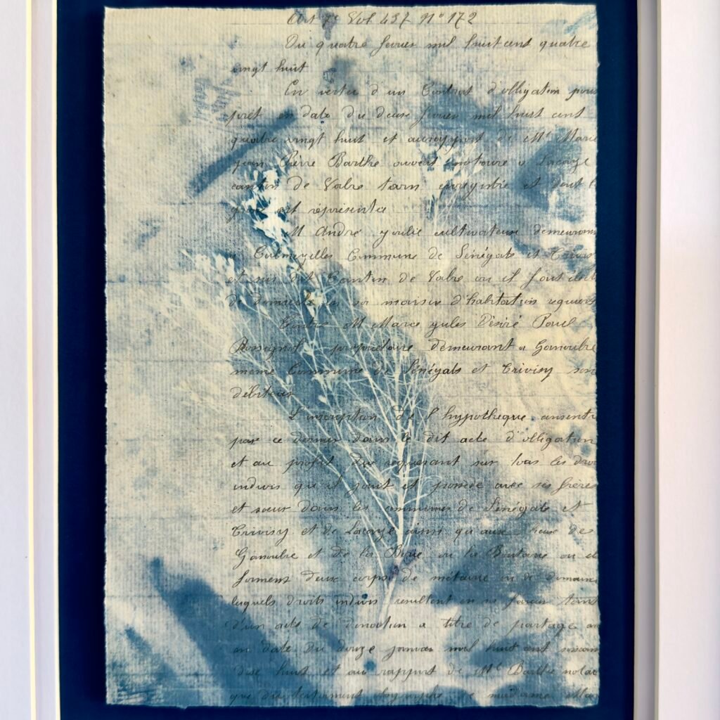 Bleu Cyan 1 (Cyanotype)