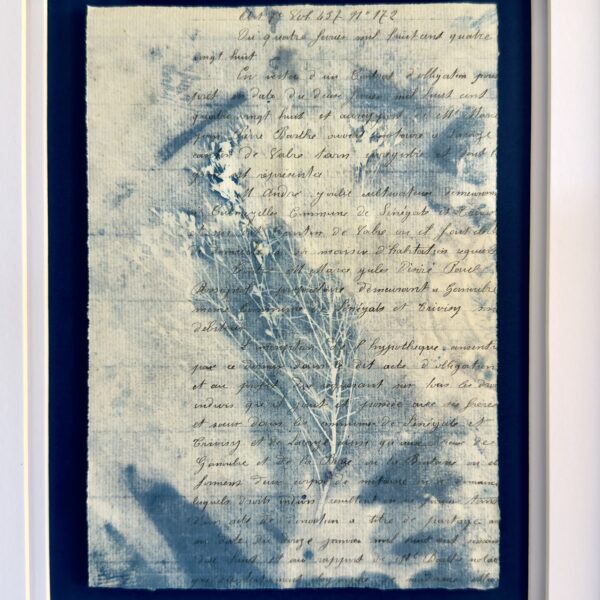 Bleu Cyan 1 (Cyanotype)