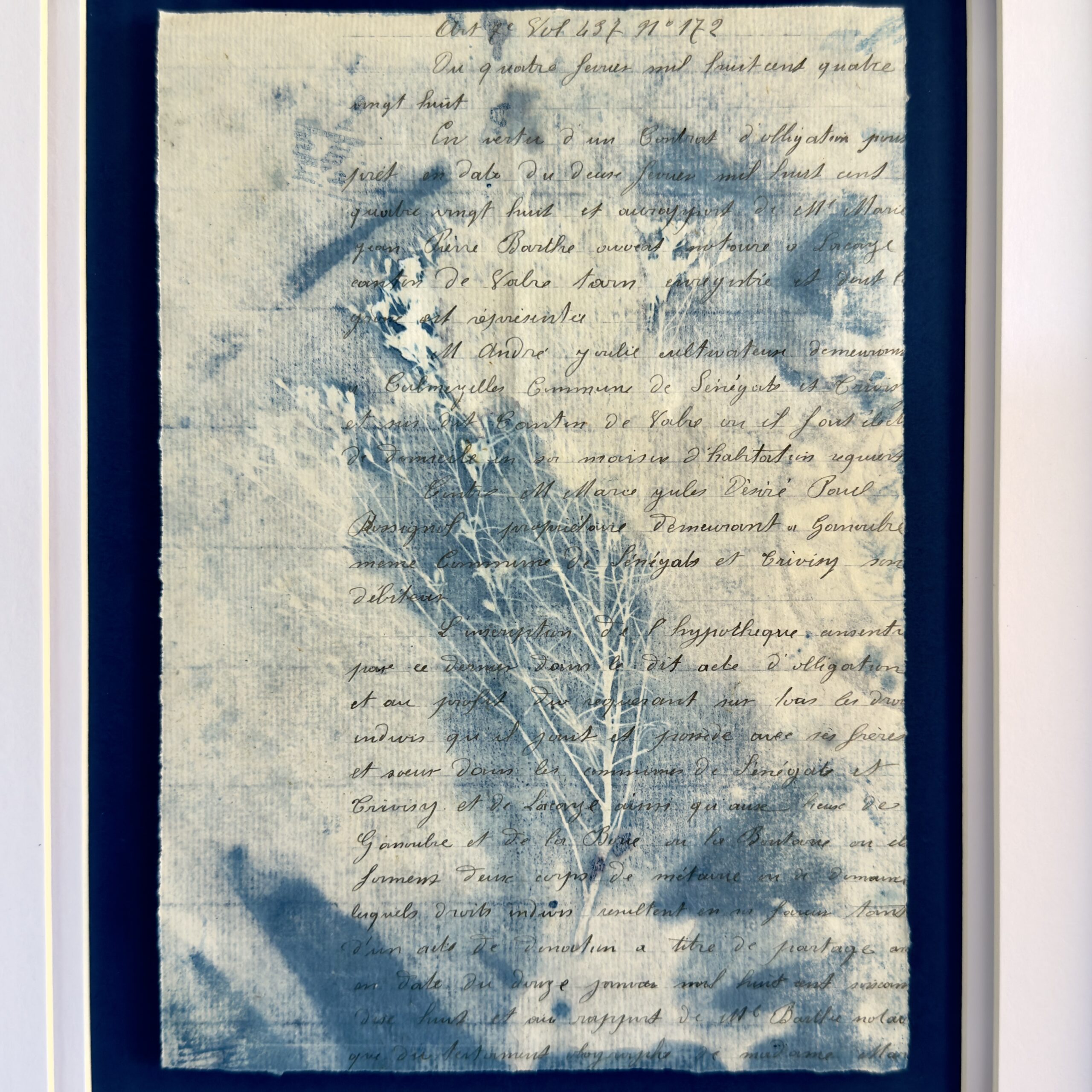 Bleu Cyan 1 (Cyanotype) - Image 2