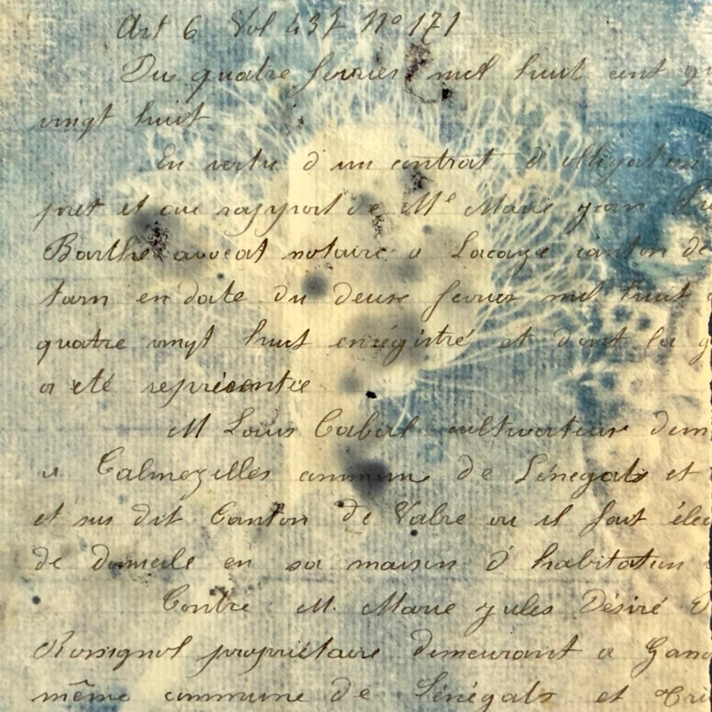 Bleu Cyan 2 (Cyanotype)