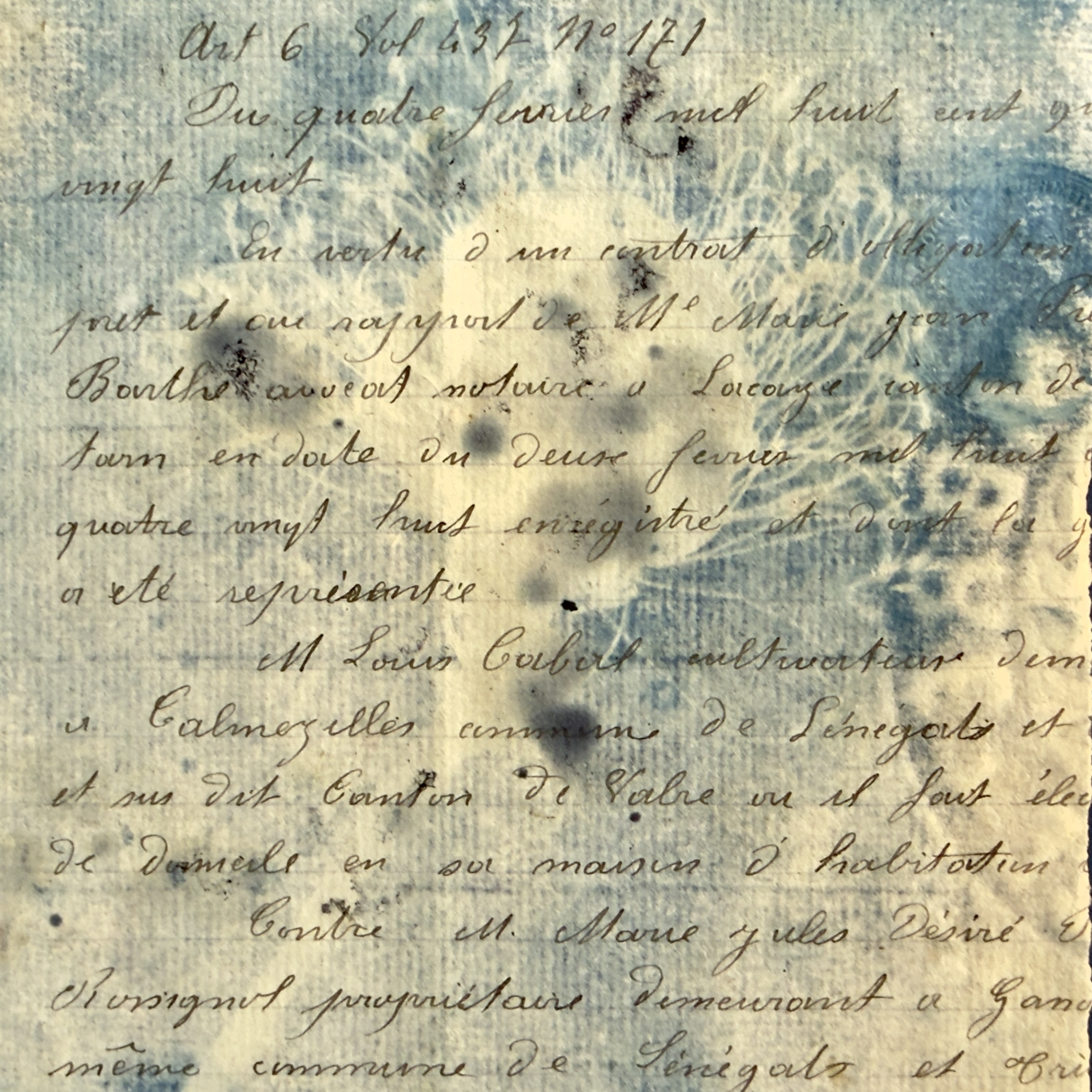 Bleu Cyan 2 (Cyanotype) - Image 3