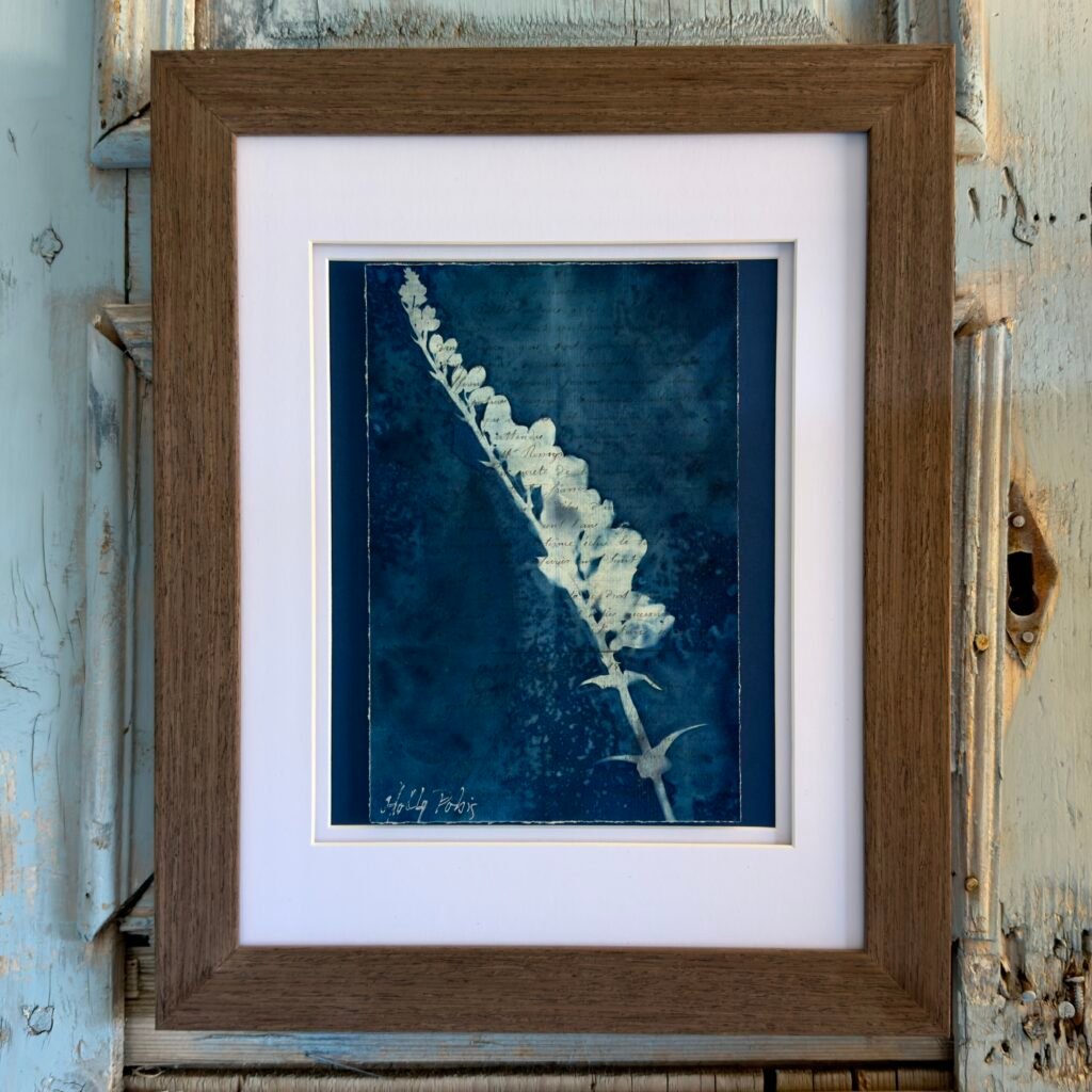 Bleu Cyan 4 (Cyanotype)