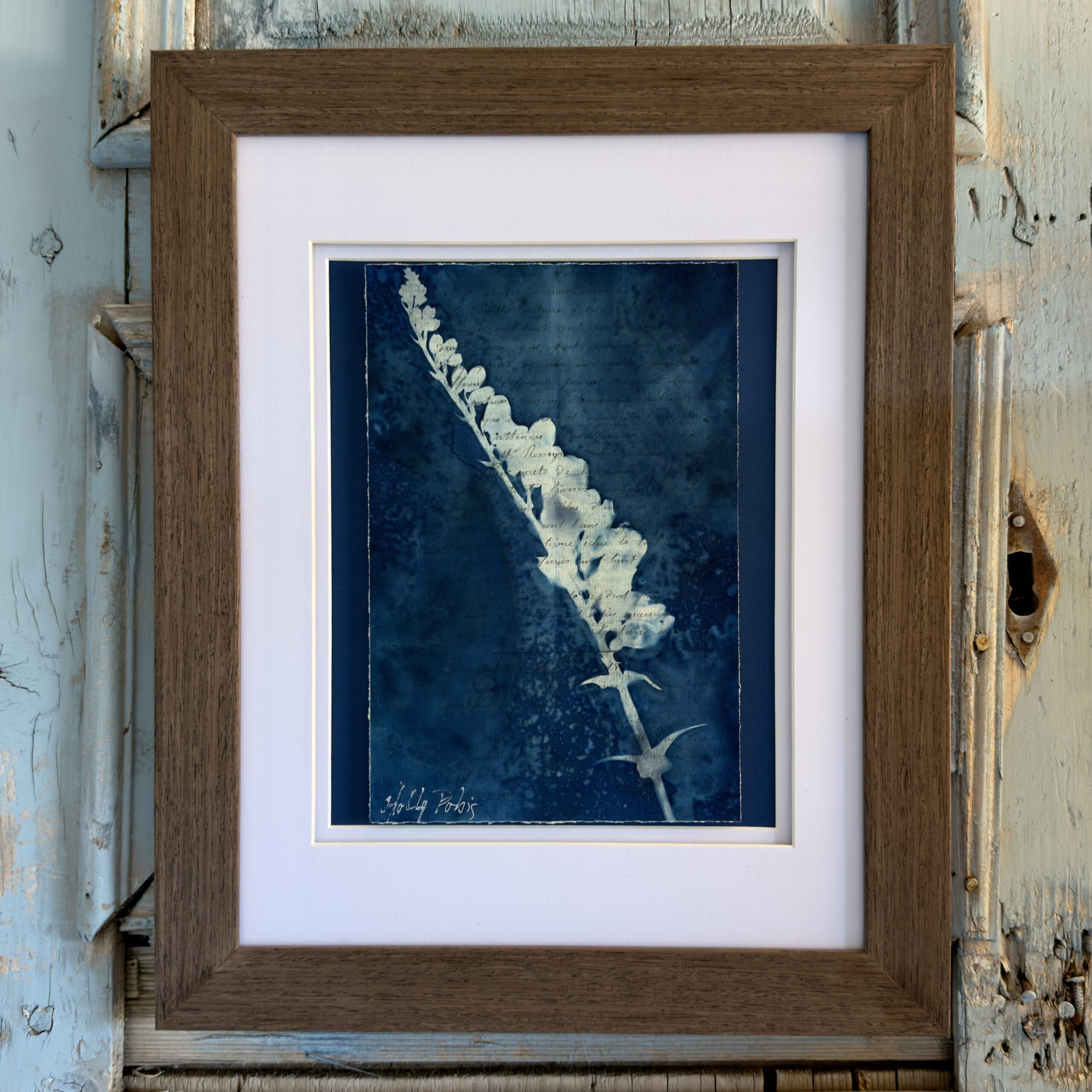 Bleu Cyan 4 (Cyanotype) - Image 1