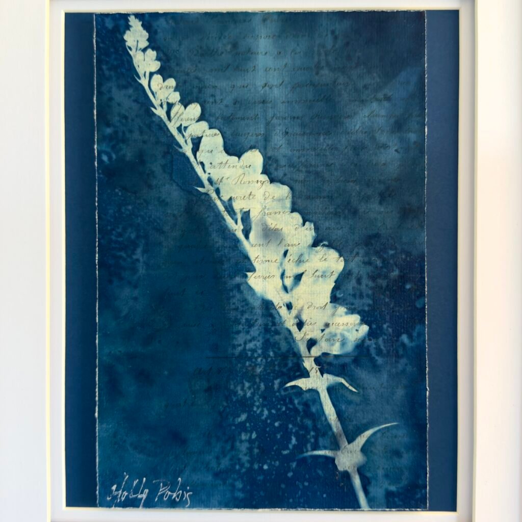 Bleu Cyan 4 (Cyanotype)