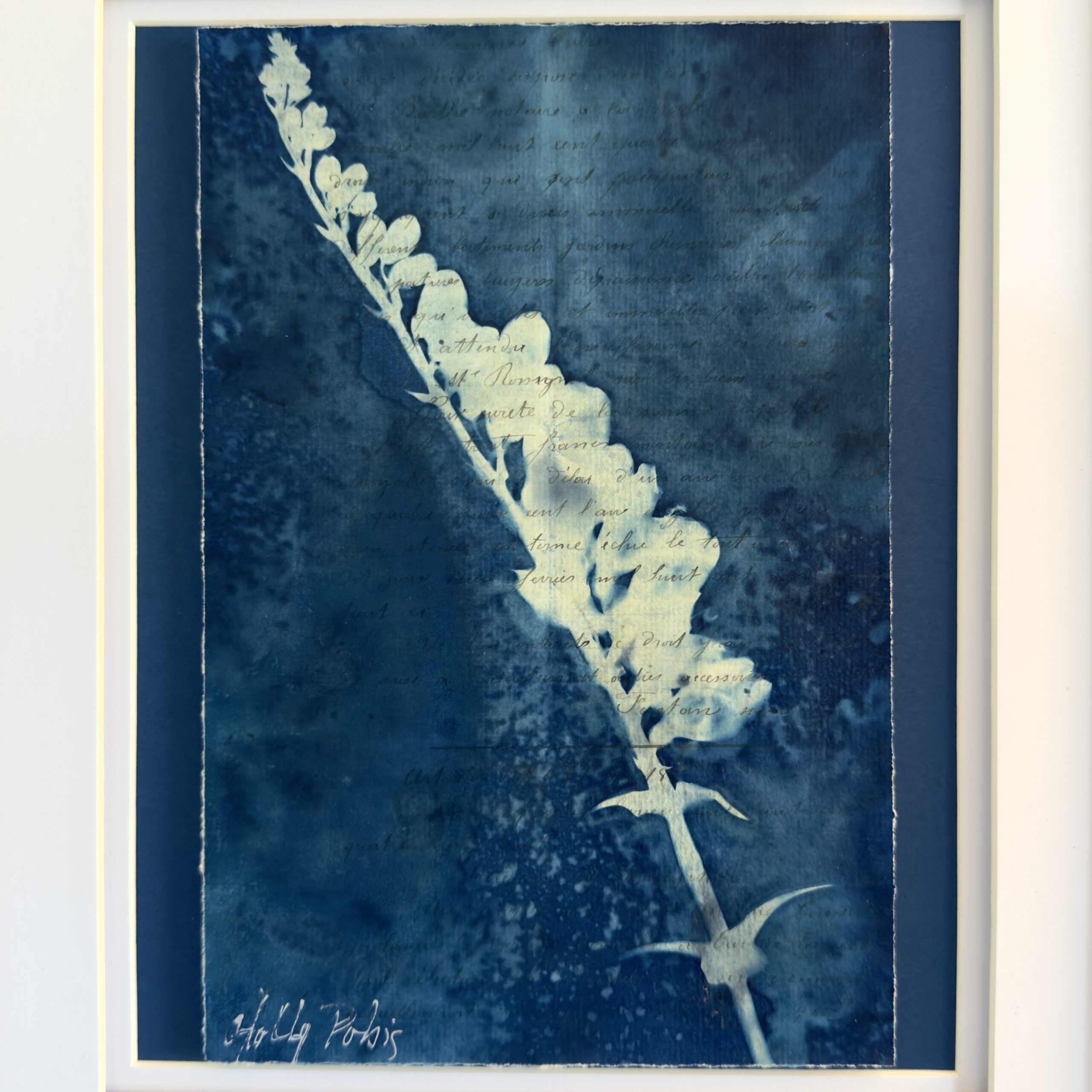 Bleu Cyan 4 (Cyanotype) - Image 2