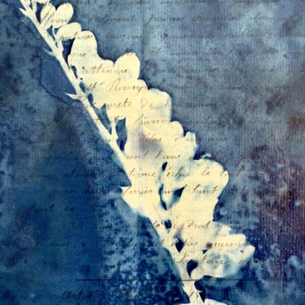 Bleu Cyan 4 (Cyanotype)