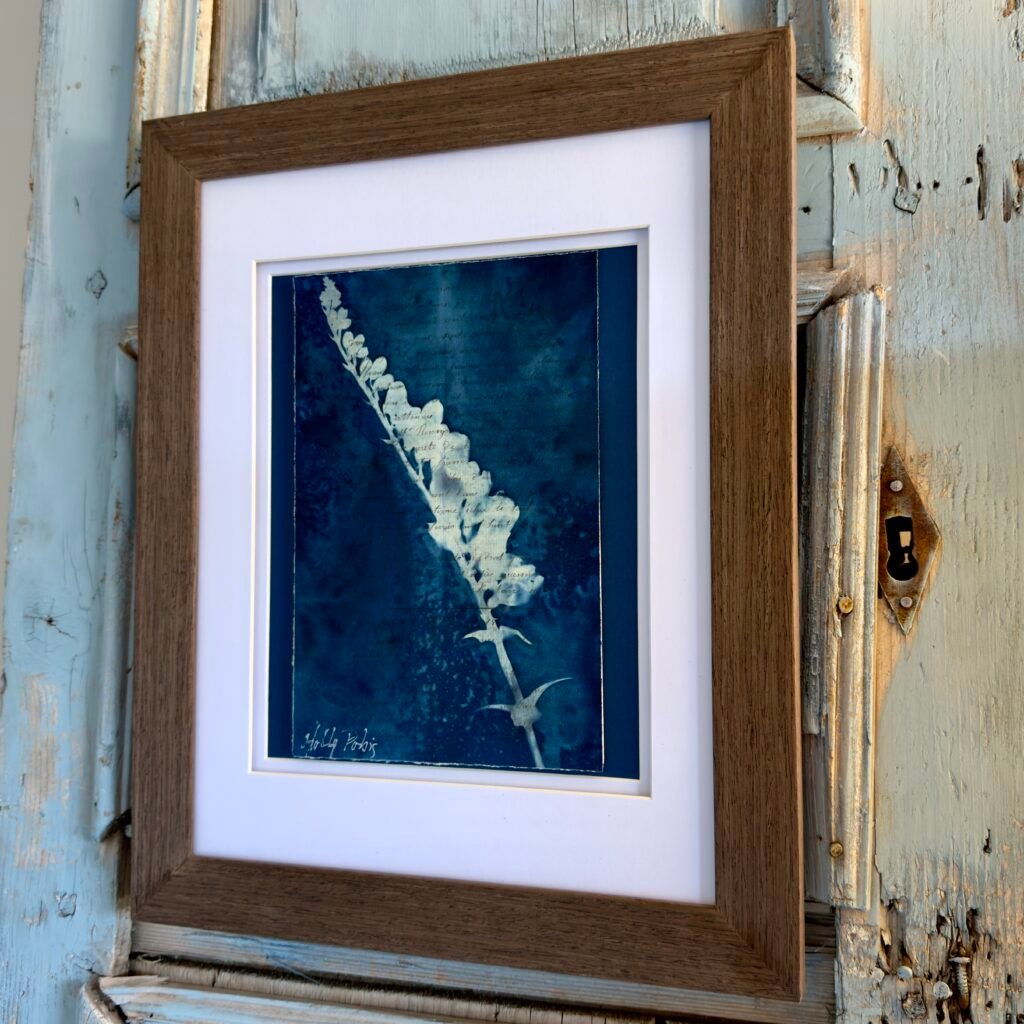Bleu Cyan 4 (Cyanotype)