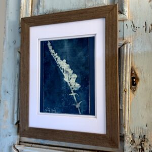 Bleu Cyan 4 (Cyanotype) - Image 4