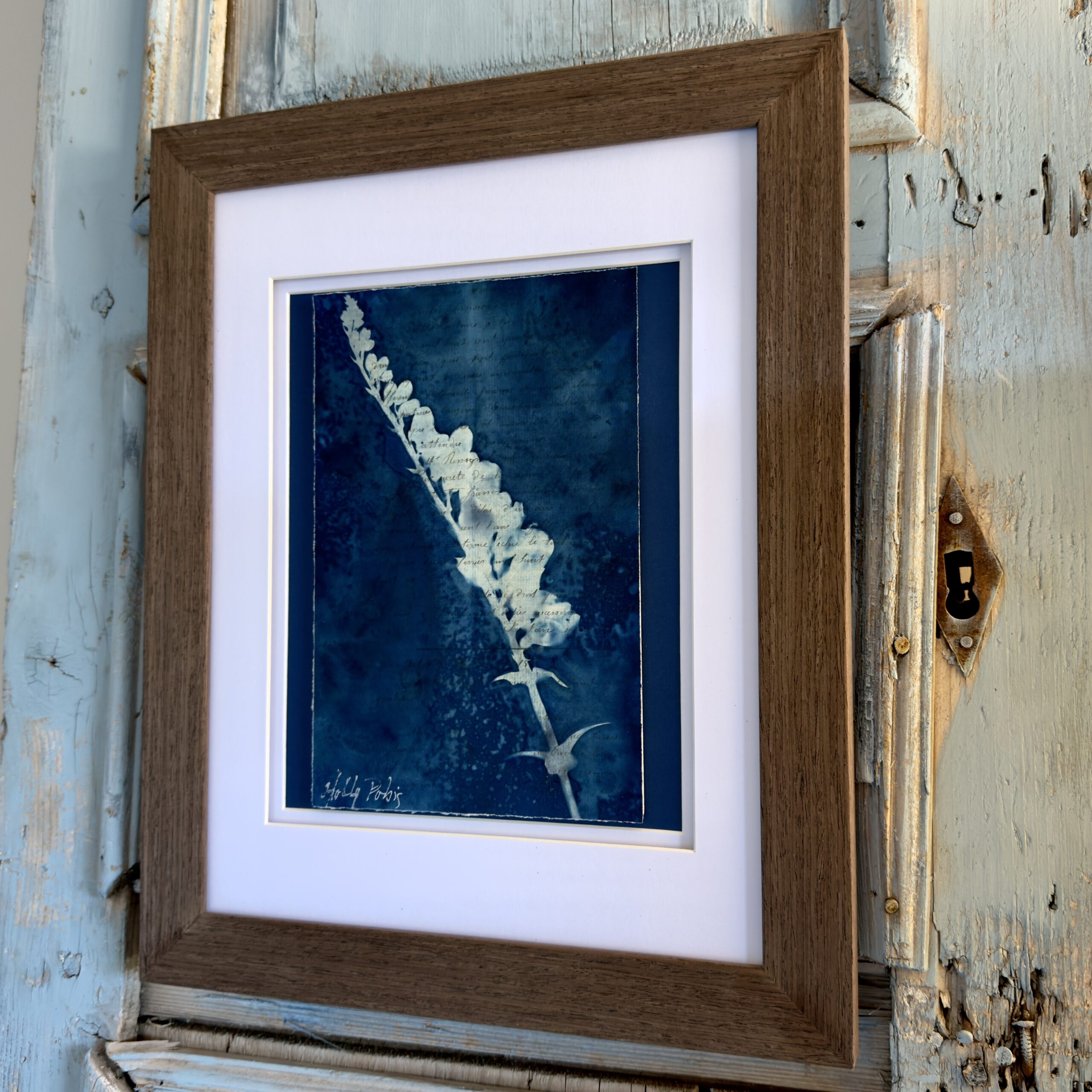 Bleu Cyan 4 (Cyanotype) - Image 4